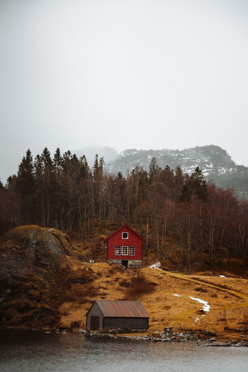 Secluded timber shelter surrounded by misty spruce forest in Scandinavia